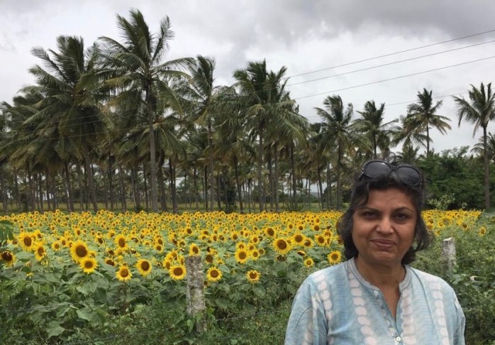 NM in sunflower field